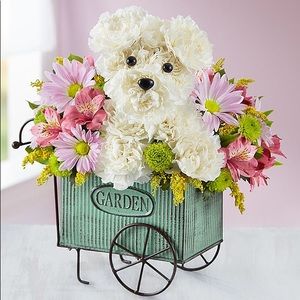 Meet your Posher, Laura